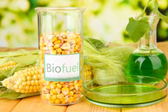 Nye biofuel availability