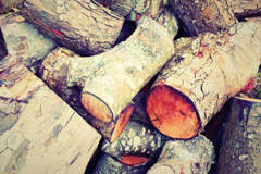 Nye wood burning boiler costs